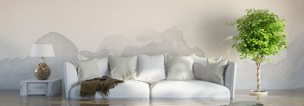 Flood Insurance 101