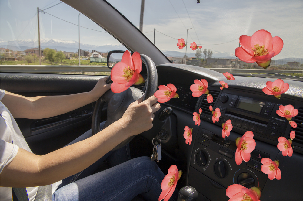 The 6 Best Car Air Fresheners