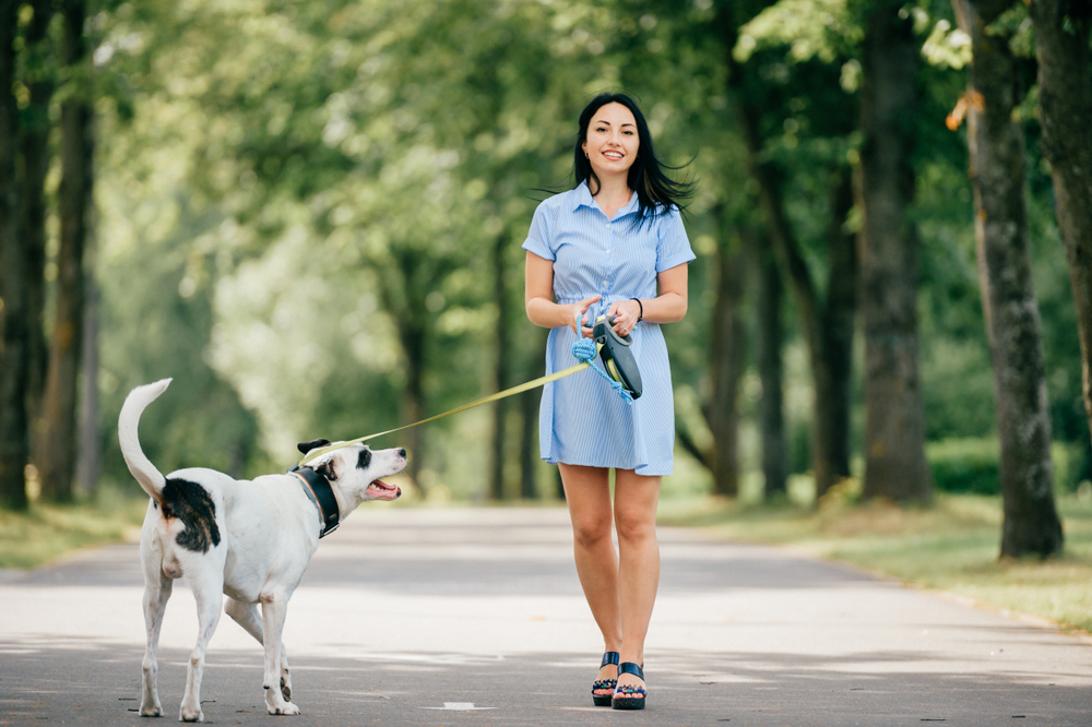Why is Pet Insurance Important?
